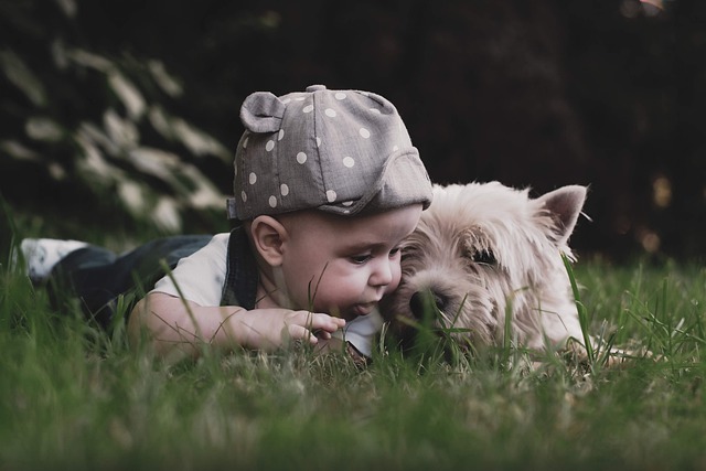 Boy Dog Child Kids Children Pet  - IamFOSNA / Pixabay