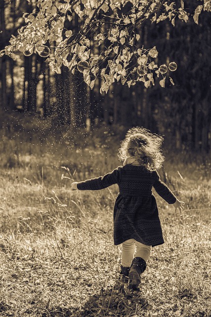 Girl Child Childhood Joy Happy  - RitaE / Pixabay