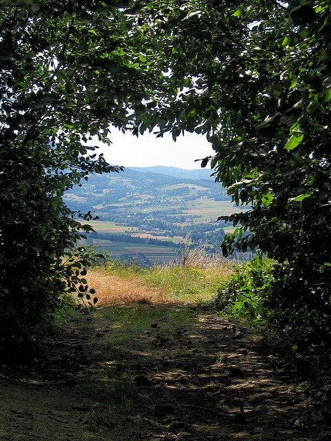 View Forest Mountains Window  - JerzyGorecki / Pixabay