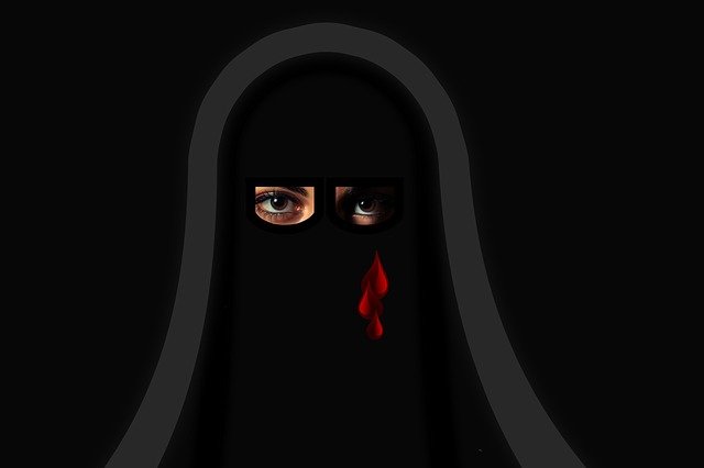 The Niqab Religion Woman Muslim  - geralt / Pixabay