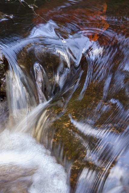 Stream Creek River Foam Water  - LTapsaH / Pixabay